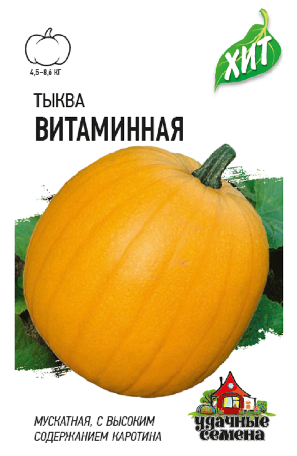 Тыква Витаминная Фото